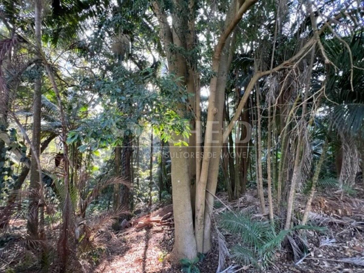 Terreno a venda em Condomínio Fechado no Alto da Boa Vista .