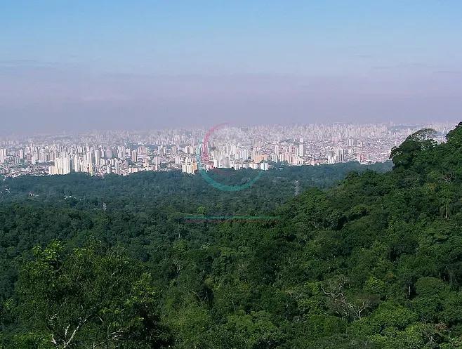 Lindo sobrado à venda no bairro do Horto Florestal a 1 quadra do Parque Florestal da Cantareira.