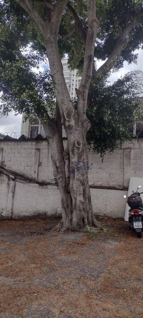 Terreno à venda, 820 m² por R$ 13.000.000,00 – Pinheiros – São Paulo/SP