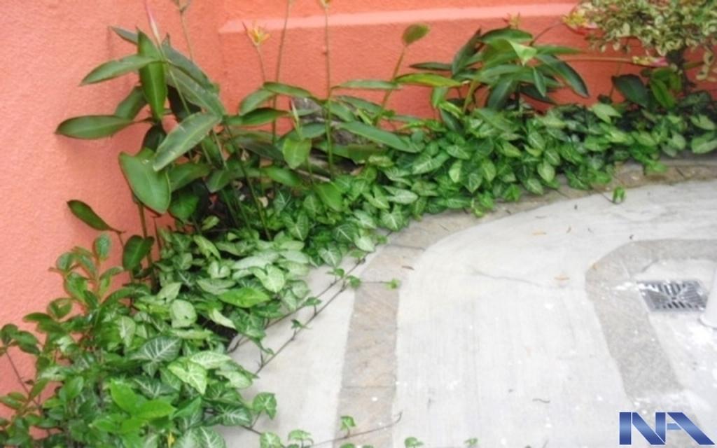 TOTALMENTE REFORMADO EM ESTADO DE NOVO, PASSAGEM LATERAL.
