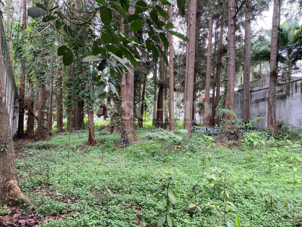 Terreno área nobre a venda -6068m2- Alto da Boa Vista ideal para casa codominio ou Senior Living