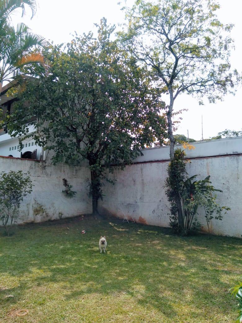 LINDA CASA E SO COMPRAR E MUDAR NADA PARA FAZER A VENDA VILA IHNA MORUMBI