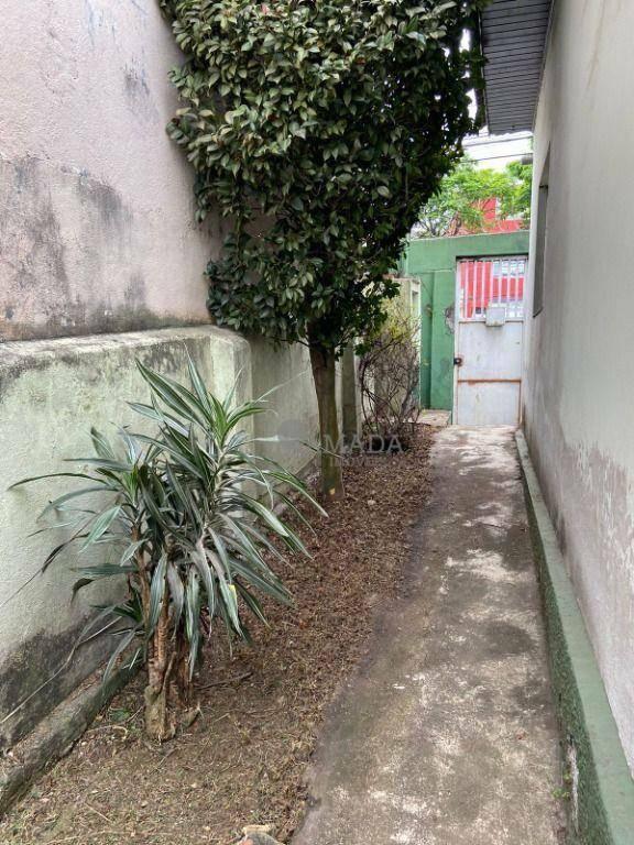 Terreno à venda, 591 m² por R$ 2.300.000,00 – Ponte Rasa – São Paulo/SP