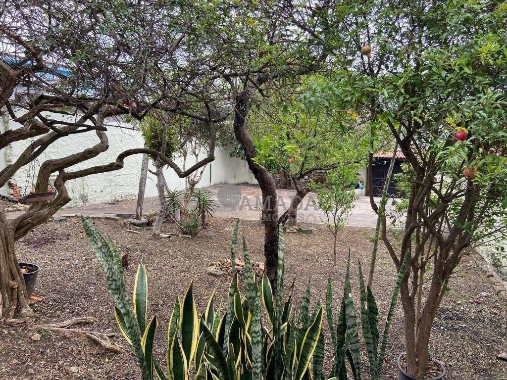Terreno à venda, 591 m² por R$ 2.300.000,00 – Ponte Rasa – São Paulo/SP