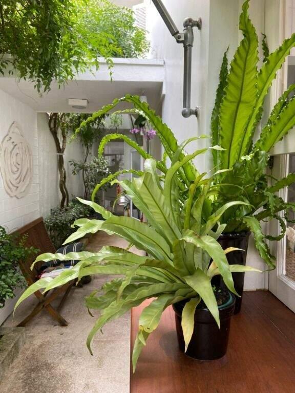 Casa com 2 dormitórios 1 suíte á venda Rua Comendador Orlando Stevaux Campo Belo