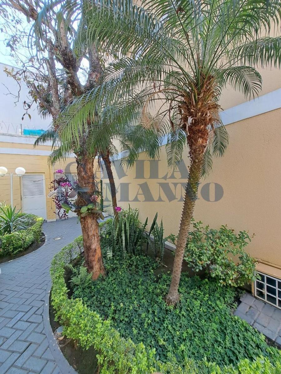 Imperdível oportunidade: Casa à venda em São Paulo-SP, Vila Bertioga! 3 quartos, 1 suíte, 1 sala, 4