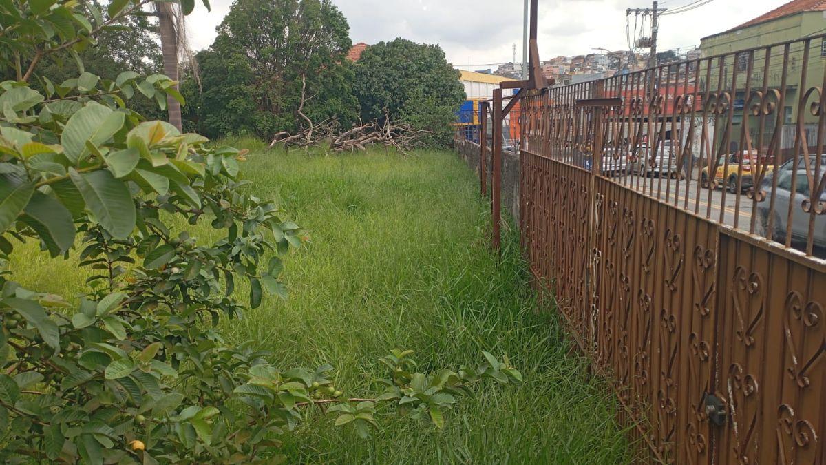VENDO UMA LINDA ÁREA PLANA ÓTIMA PARA CONSTRUTORA NO CAMPO LIMPO