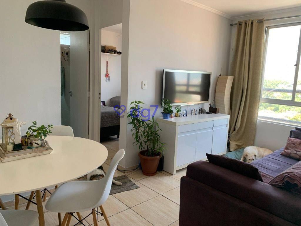 Apartamento com 2 dormitórios à venda, 53 m² – Jardim Bonfiglioli – São Paulo/SP