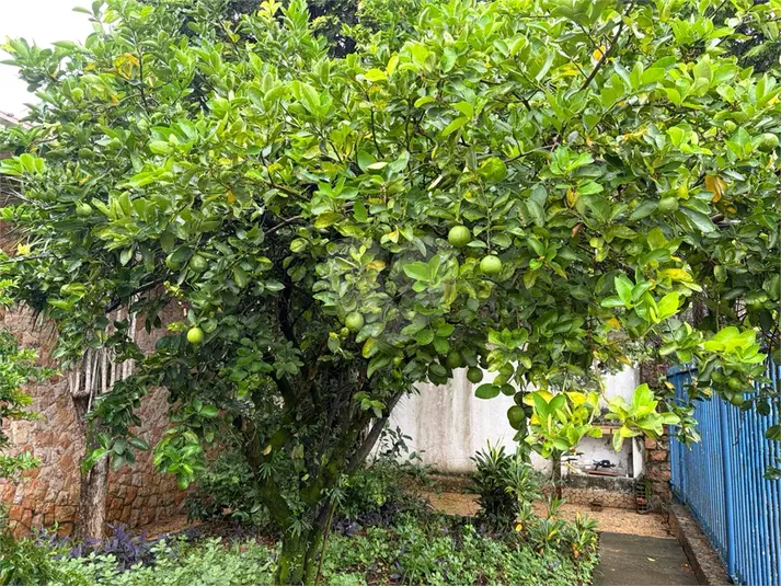 Casa com 3 quartos à venda em Alto da Lapa – SP