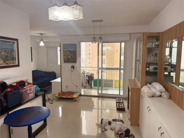 Apartamento com 2 quartos à venda ou para alugar em Jardim Sul – SP