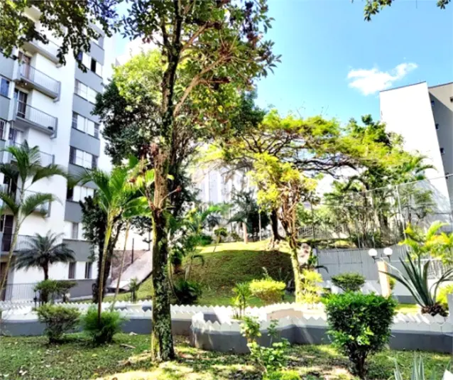 Apartamento com 2 quartos à venda ou para alugar em Pirituba – SP