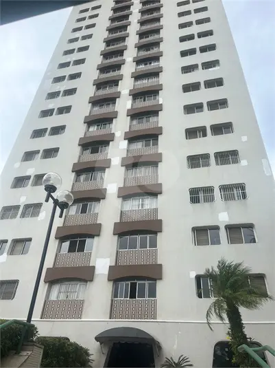 Apartamento com 3 quartos para alugar em Mandaqui – SP