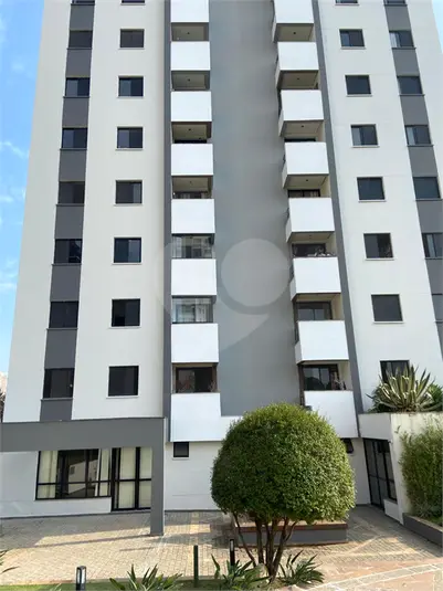 Apartamento com 3 quartos para alugar em Butantã – SP