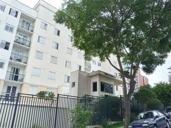 Apartamento com 3 quartos para alugar em Vila Mascote – SP