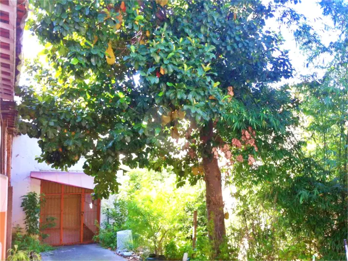 Terreno à venda em Santana – SP