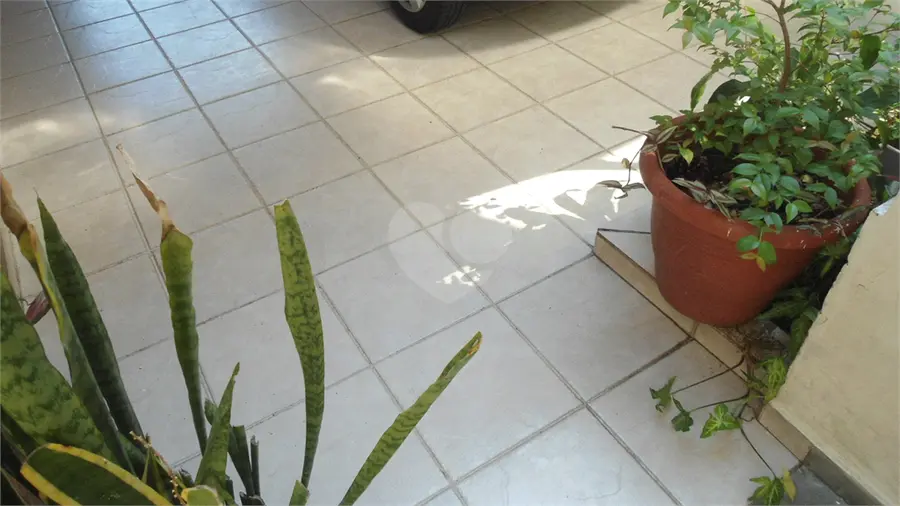 Casa com 3 quartos à venda ou para alugar em Vila Mascote – SP