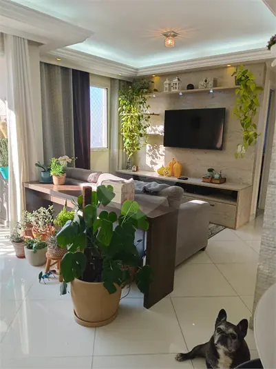 Apartamento com 3 quartos à venda em Vila Guilherme – SP