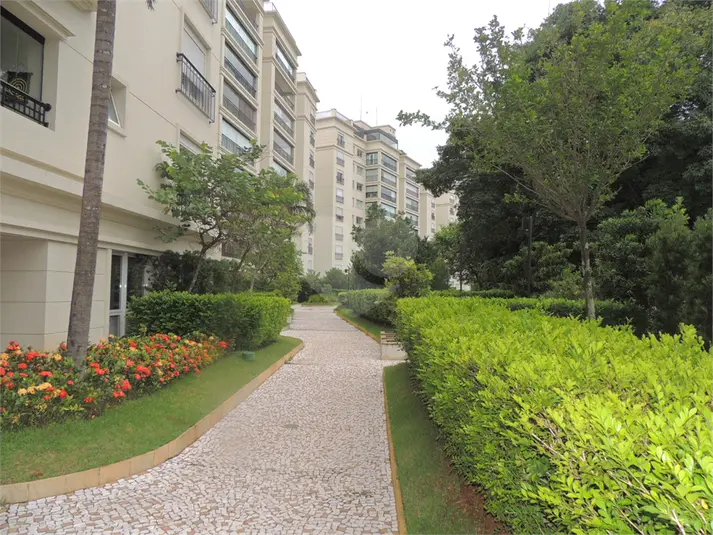 Apartamento com 3 quartos à venda em Chácara Santo Antônio – SP