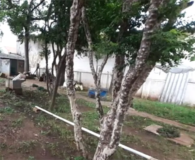 Terreno com 3 quartos à venda em Santana – SP