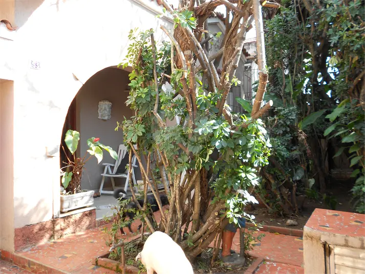 Casa com 3 quartos à venda em Pinheiros – SP