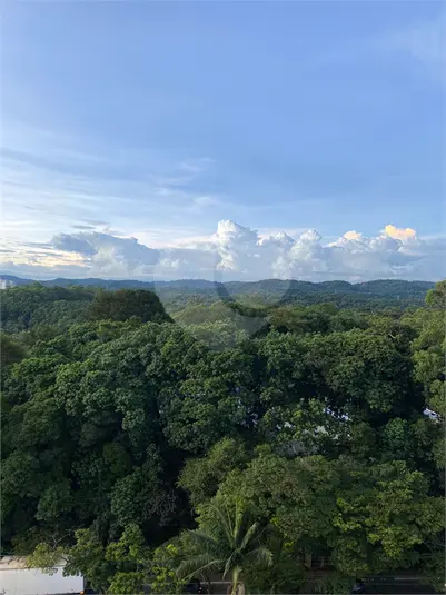Apartamento com 3 quartos à venda em Horto Florestal – SP