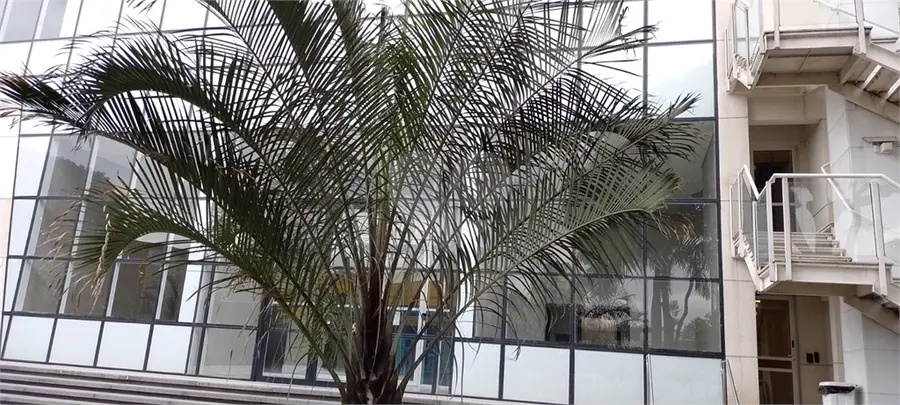 Apartamento com 2 quartos à venda em Santana – SP