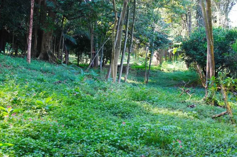 Loteamento à venda em Chácara Flora – SP