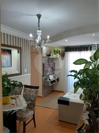 Apartamento com 2 quartos à venda ou para alugar em Penha – SP