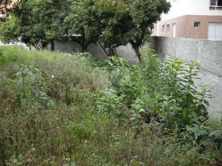 Terreno à venda em Jardim Guedala – SP