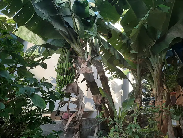 Casa térrea com 3 quartos à venda em Horto Florestal – SP