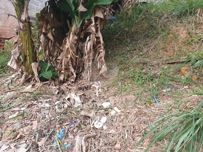 Terreno à venda em Butantã – SP