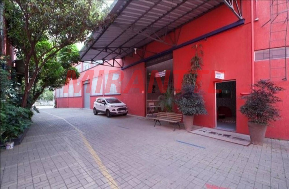 Galpao em Cambuci