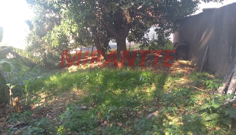 Terreno de 1630m² em Freguesia do Ó