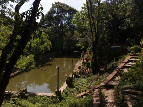 Casa terrea com 2 quartos em Serra da Cantareira
