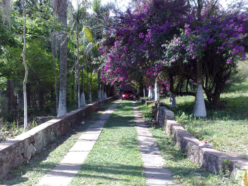 Casa terrea com 2 quartos em Serra da Cantareira