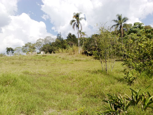 Casa terrea com 2 quartos em Serra da Cantareira