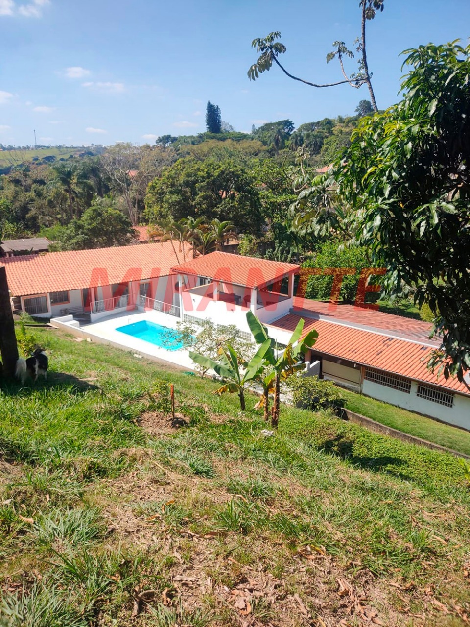 Terreno de 2268m² com 1 quartos em Chácaras Reunidas Igarapés