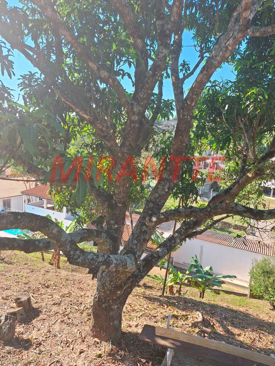 Terreno de 2268m² com 1 quartos em Chácaras Reunidas Igarapés