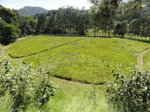 Terreno de 77000m² em Serra Da Cantareira