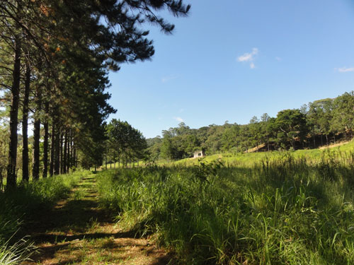 Terreno de 77000m² em Serra Da Cantareira