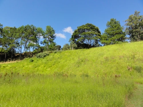 Terreno de 77000m² em Serra Da Cantareira