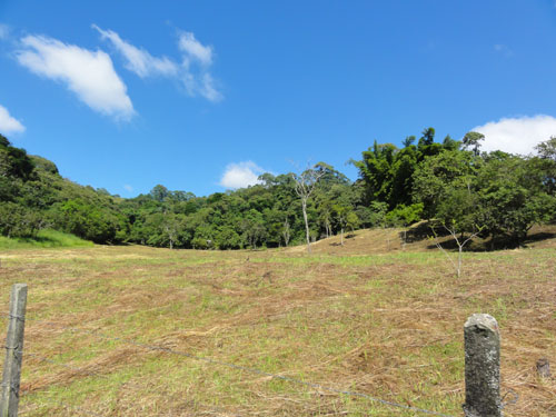 Terreno de 77000m² em Serra Da Cantareira