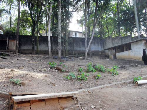 Sobrado de 254m² com 3 quartos em Serra da Cantareira