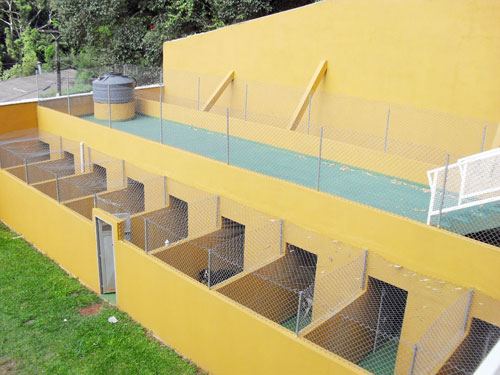 Sobrado de 254m² com 3 quartos em Serra da Cantareira