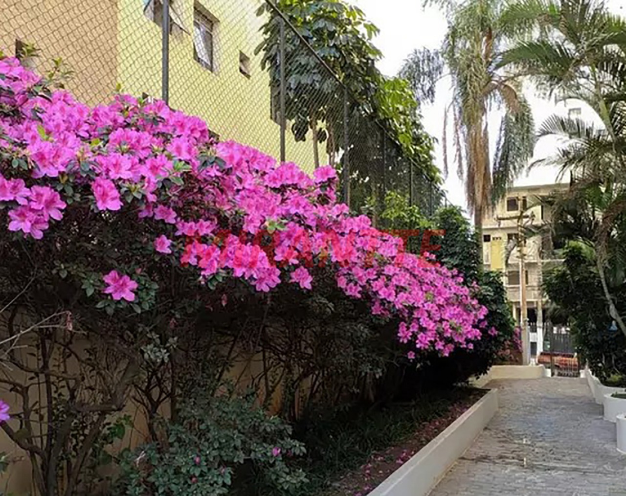 Apartamento de 73m² com 3 quartos em Santana