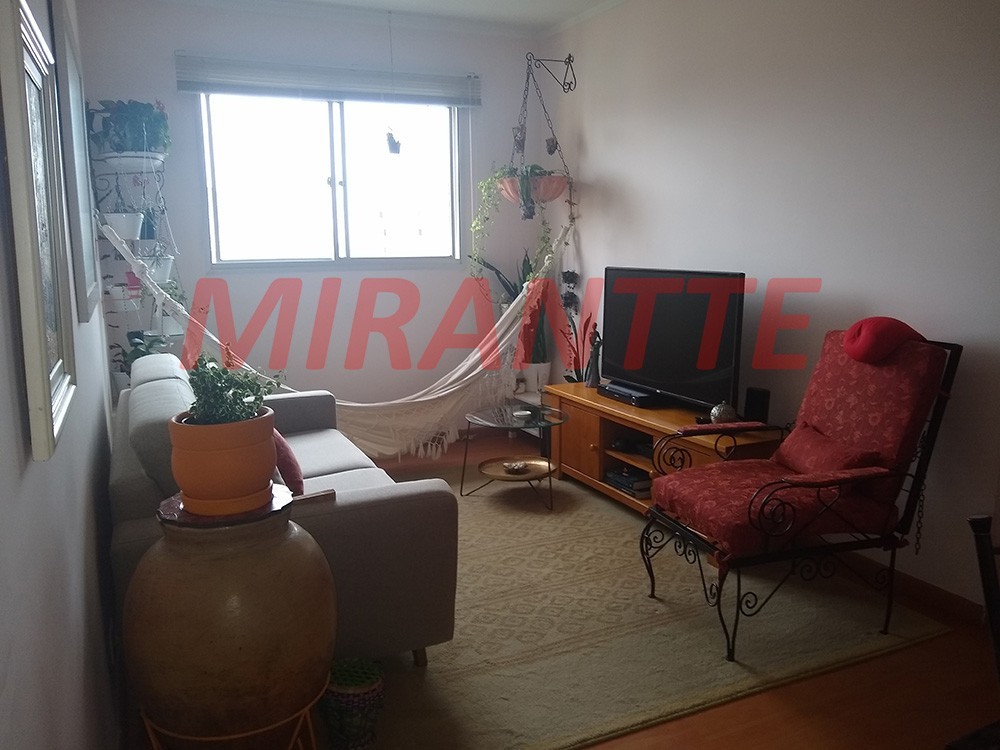 Apartamento de 50m² com 2 quartos em Santa Teresinha
