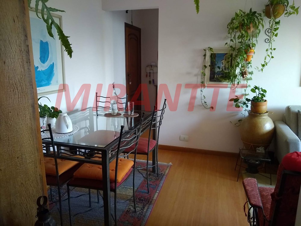 Apartamento de 50m² com 2 quartos em Santa Teresinha