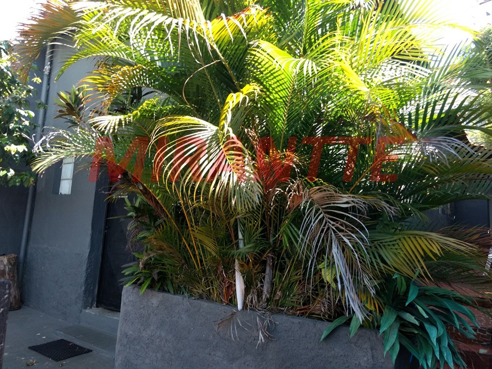 Terreno de 0m² em Santana