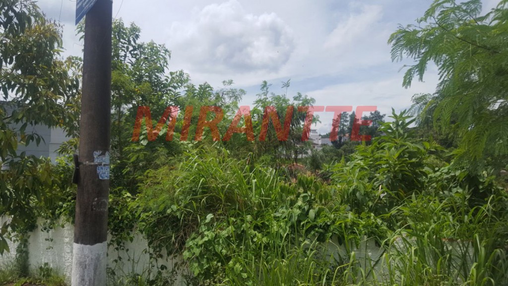 Terreno de 430m² em Jardim Leonor Mendes De Barros