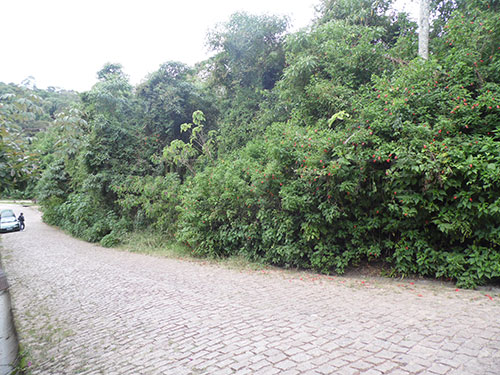 Terreno de 1500m² em Serra Da Cantareira
